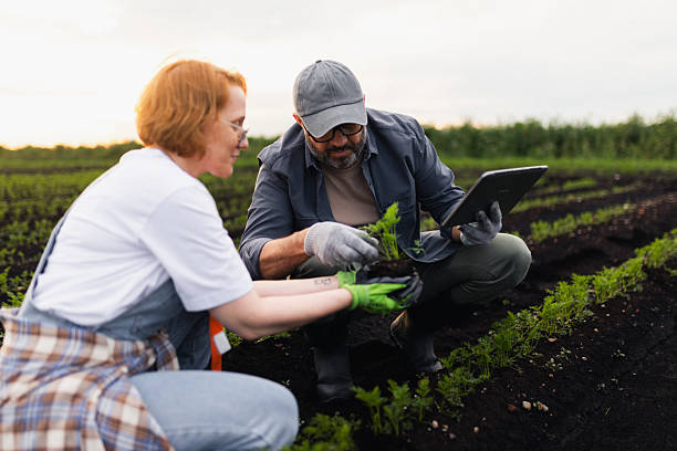 istock Two Farmers Using Technology to Examine Crop in Agricultural Field 2208953890