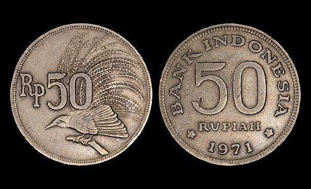 1971 Indonesian 50 Rupiah Coin Close-Up
