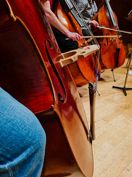 istock Musicians play the double bass 2208957590