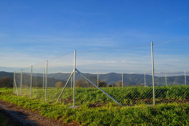 istock Wire fence barrier in a green field 2208958467