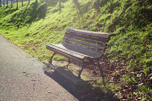 Beautiful Autumnal park with bench