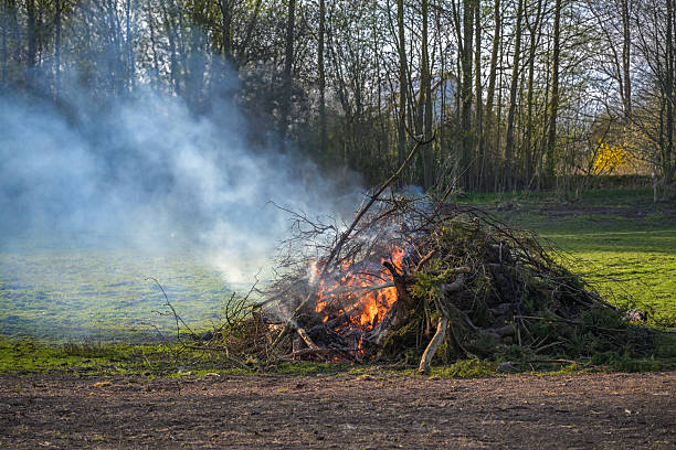 istock Large heap from branches, twigs and tree cuttings burning on a meadow, garden fire or traditional Easter fire, copy space 2208958969
