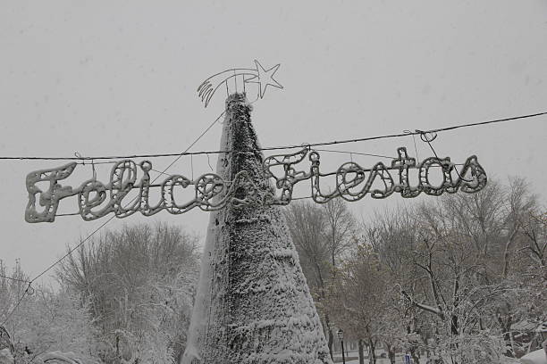 Snowy Christmas tree with a Happy Holidays sign and a Christmas star