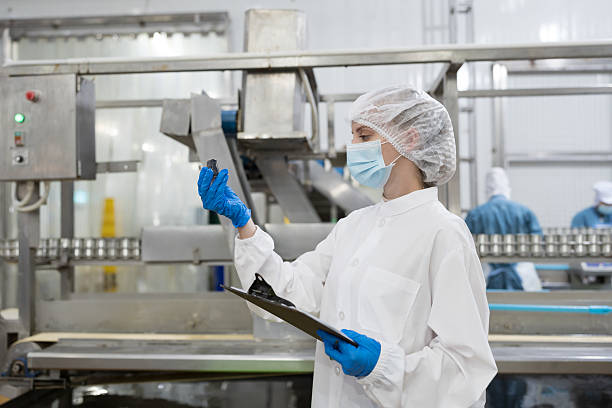 istock Canned fish factory, seafood manufacturing and processing. Food processing. Conveyor belt and workers. Worker in protective gear wearing hairnet inspecting quality of seafood processing conveyor belts 2208963793