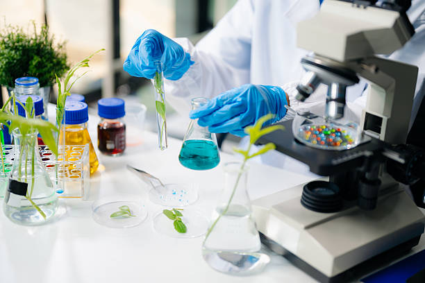 istock Food science as lab scientists test and analyze vegetables for safety and quality using advanced technology 2208964040