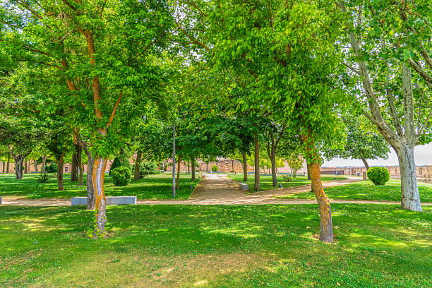 istock Baltasar Lobo gardens Zamora Spain Castile and Leon 2208964664