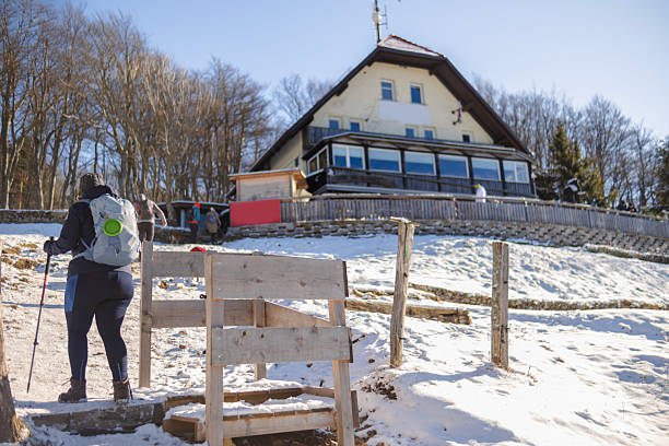 One woman having a wonderful vacation on snow with her friends and dogs