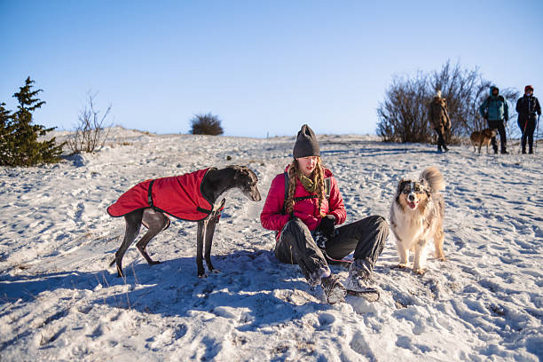 Woman enjoying snow by sledding down the hill with dogs while