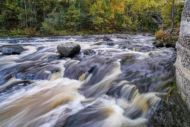 The idyllic South Tyger River during fall with rocks in the foreground and forest behind