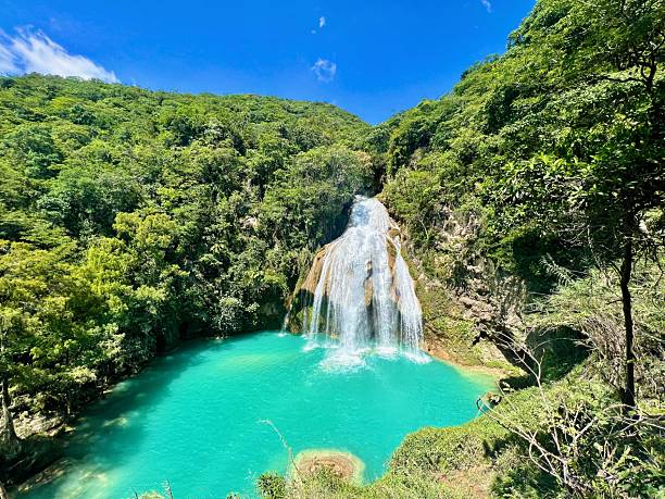 istock Stunning waterfall cascading into a turquoise pool surrounded by lush greenery 2208968723