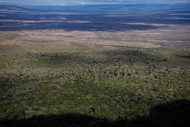 istock Kenya Landscapes Panoramic Scenic Views Fields Meadows 2208980575