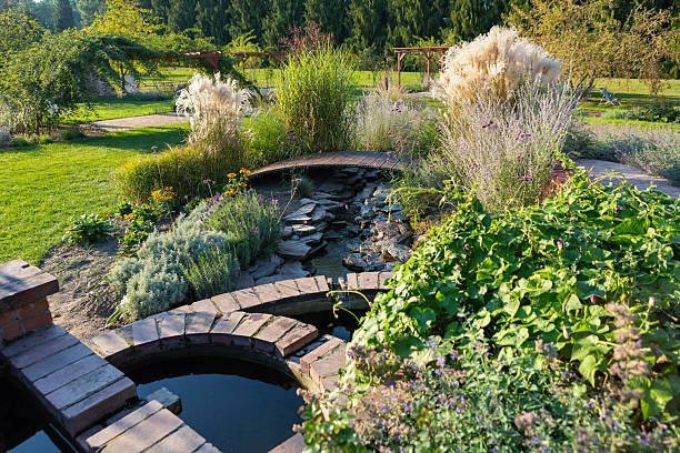 istock Tranquil garden with a water feature surrounded by lush vegetation in bright sunlight 2208990731