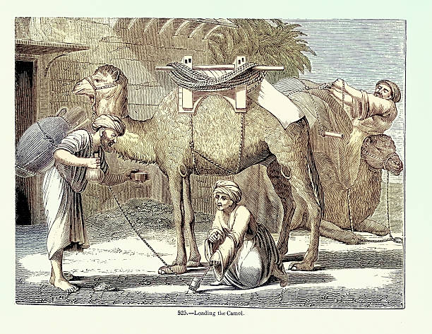 Arabian men loading a Dromedary camel, Water seller offering drinking, Victorian woodcut illustrations, 19th Century