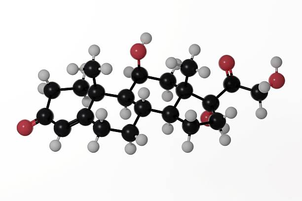 A 3d render of ball-and-stick molecular model of Cortisol with white background
