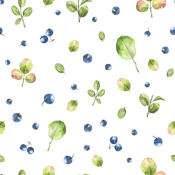 istock Square seamless pattern with watercolor realistic blueberries, green leaves and various plants 2209001365