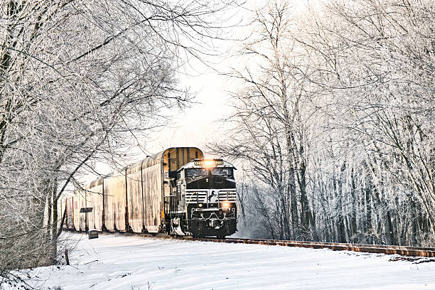 Litchfield, IL:  A Norfolk Southern (NS) freight train makes a picturesque winter landscape as it passes through snow and ice-covered trees in rural central Illinois.