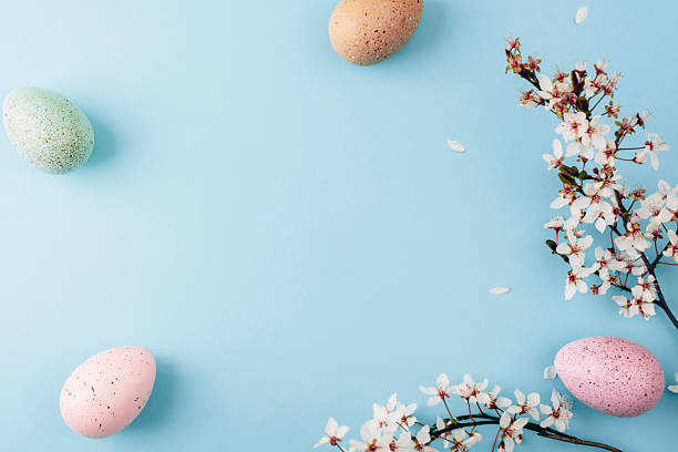 istock Speckled pastel easter eggs and blooming branches on blue background, spring holiday flat lay. Top view, copy space 2209008957