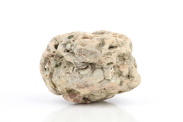 istock Weathered stone shaped by ocean  isolated on white background. 2209009094