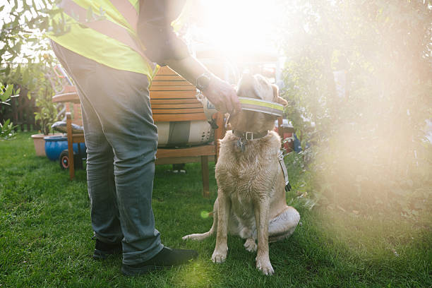 K-9 security professional checking a vehicle with a trained sniffer dog.   Real people, trained K9 and security professionals.