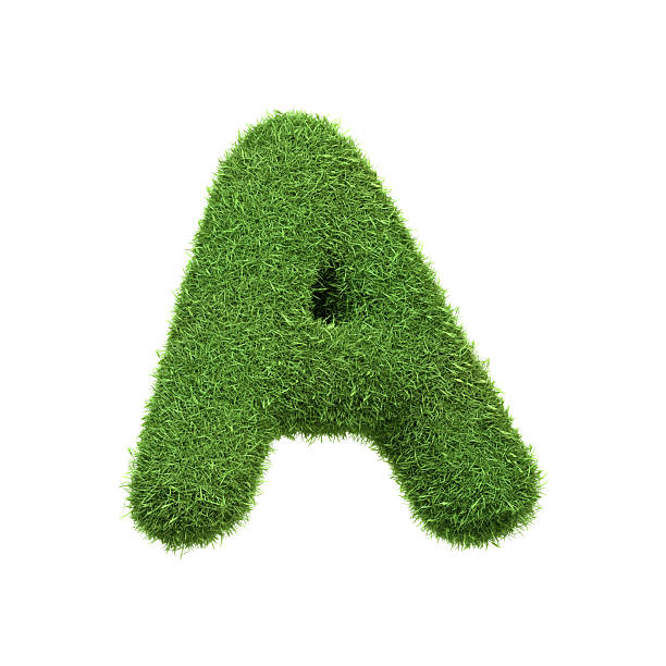 istock Capital letter A shaped from lush green grass, isolated on a white background 2209015708