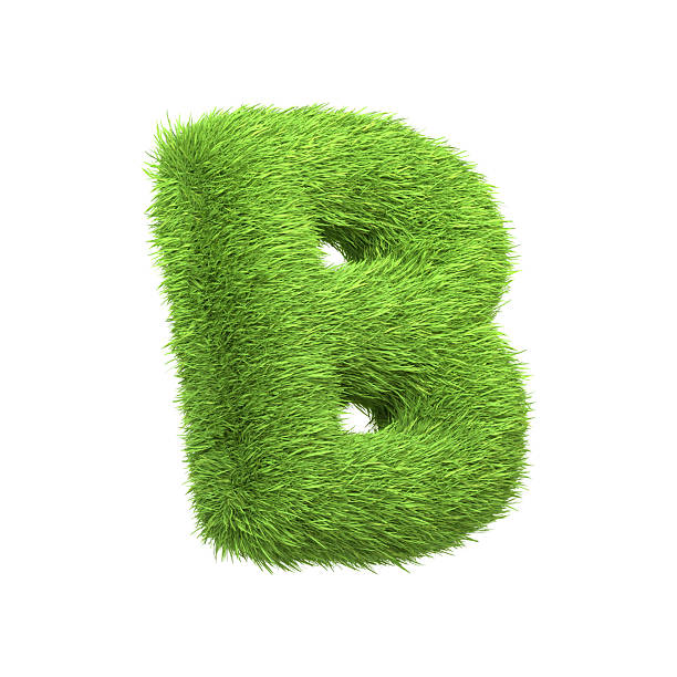istock Capital letter B shaped from lush green grass, isolated on a white background 2209015722