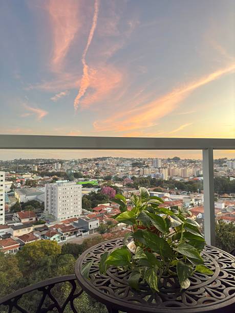 istock Cityscape view from a balcony with a potted plant at sunset. 2209016722