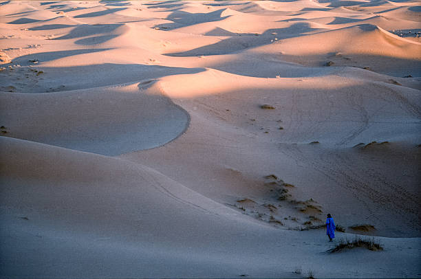 Sahara, In Salah, Algeria - November 03, 2011: Tuareg at the Goat Market in the Sahara in Algeria