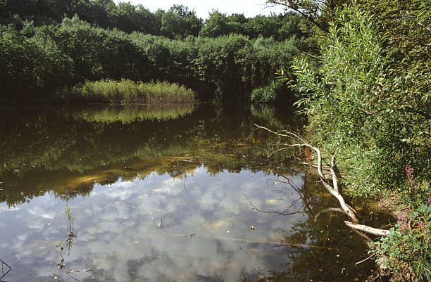 Conservation area of an old mine with mirror images of the landscape and clouds in the water ideal spawing waters for amphibians