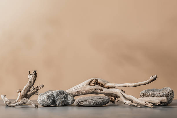 istock Dry branches and stones. Abstract composition in warm beige tones with shadow, eco-friendly product presentation. 2209018421