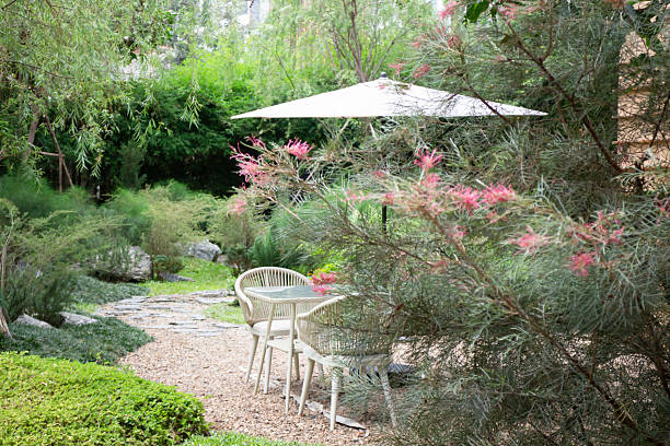 istock Summer garden with blooming flowers 2209022840