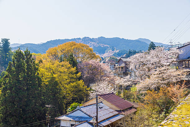 istock Mount Yoshino, Nara Prefecture: Cherry blossoms in full bloom 2209026215
