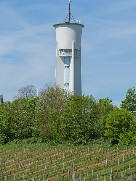 istock Spring in Trier on the Moselle 2209031281