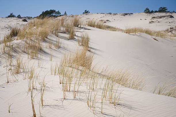Sowinski National Park Sand Dunes, Poland