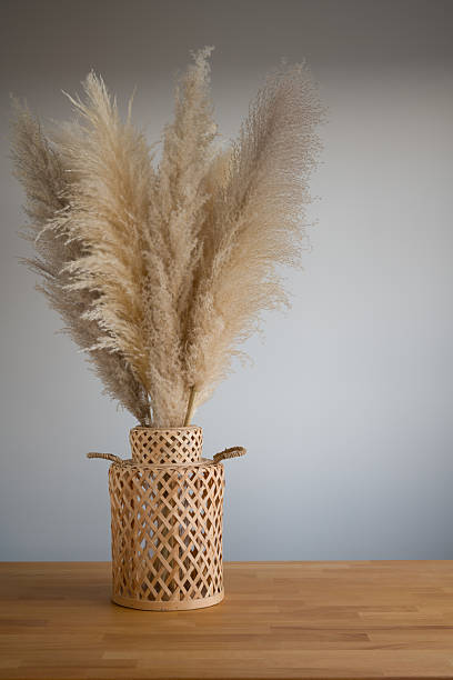 istock Pampas Grass in Woven Vase on Wooden Table - Minimalist Decor 2209033445