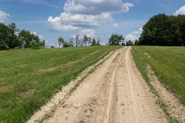 istock A dirt road in a field with trees in the background 2209036839