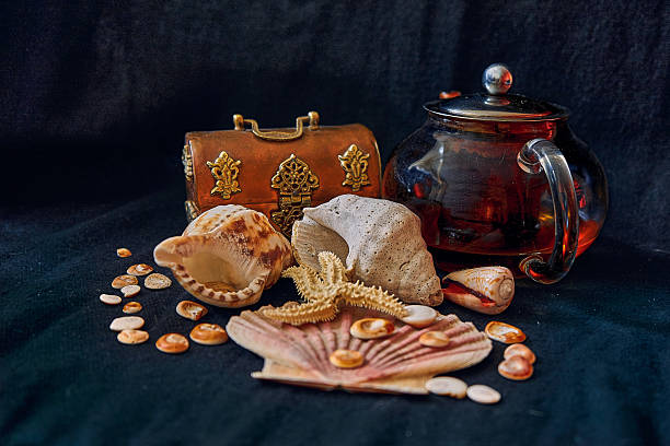 istock Still life of marine treasures, snails, shells, biteers. 2209037893