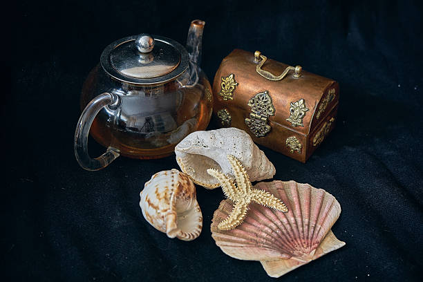 Still life of marine treasures, snails, shells, biteers.