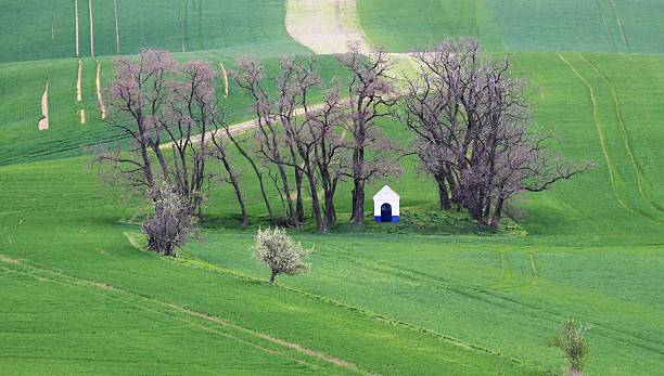 istock Small chapel in the fields of South Moravia 2209047954