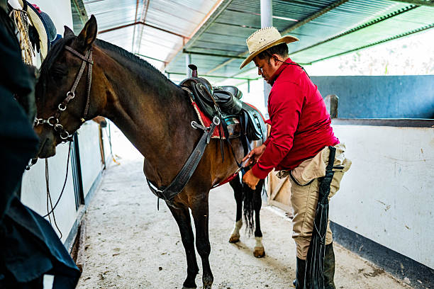 istock Mature farmer man putting saddle on horse at farm 2209050773