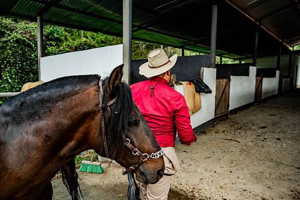 istock Mature farmer man carrying his horse at stable 2209050812