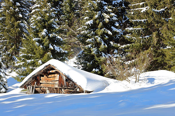 Kleinwalsertal - Winter / Kleinwalsertal - Winter /
