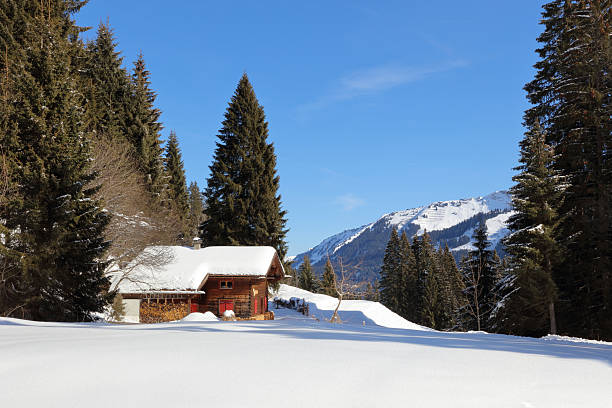 Rhodope mountains wintertime near Belmeken Dam. Bulgaria, Europe.