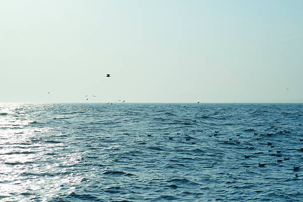 istock Memories of the waves melting into silver. 2209052210