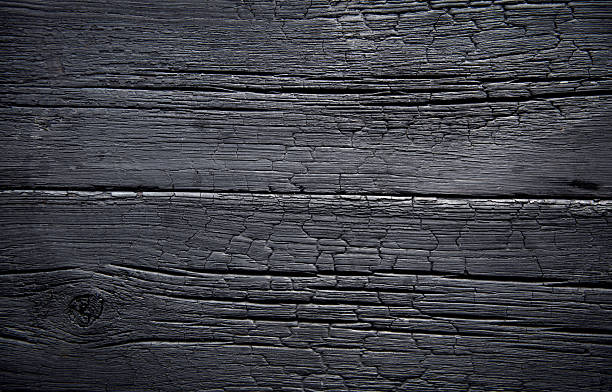 Burnt Wood Texture Close-Up
