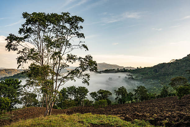 Landscape on Guavata, Santander Deparment, Colombia