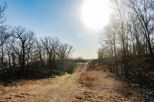 This is a photograph of the afternoon sun shining above a dirt trail through bare trees on the top of a Ramapo Mountain in Suffern, New York on a spring day.