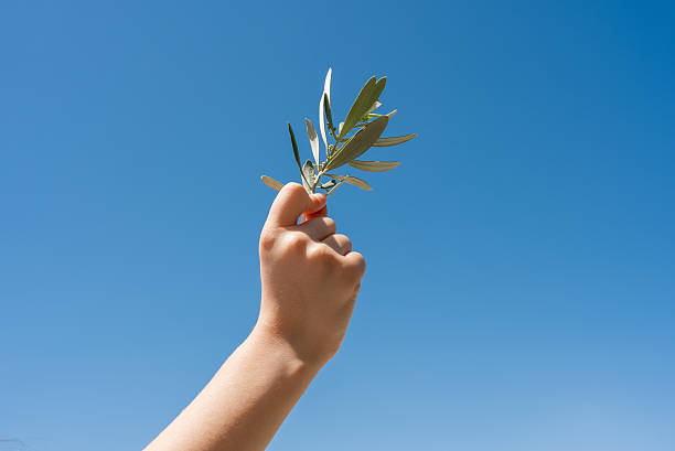 Child Hand Holding an Olive Branch Against a Clear Blue Sky. High quality photo