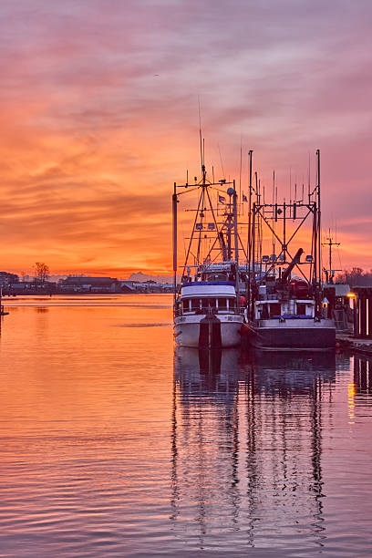 istock Fishing Boats at Dawn 2209057334