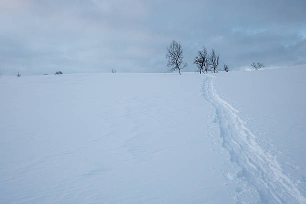 The nature at the Lyngen Alps is stunning, especially during winter time.