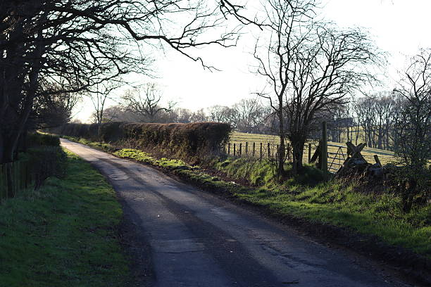 istock Countryside lane in evening sunlight in spring 2209059450